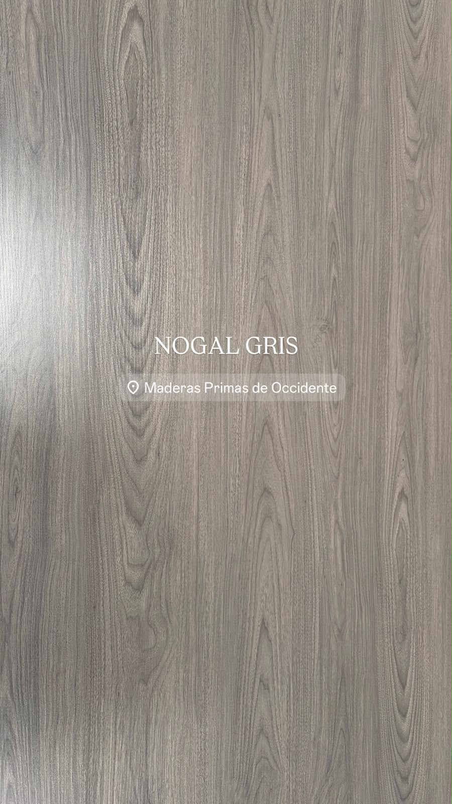 Nogal Gris
