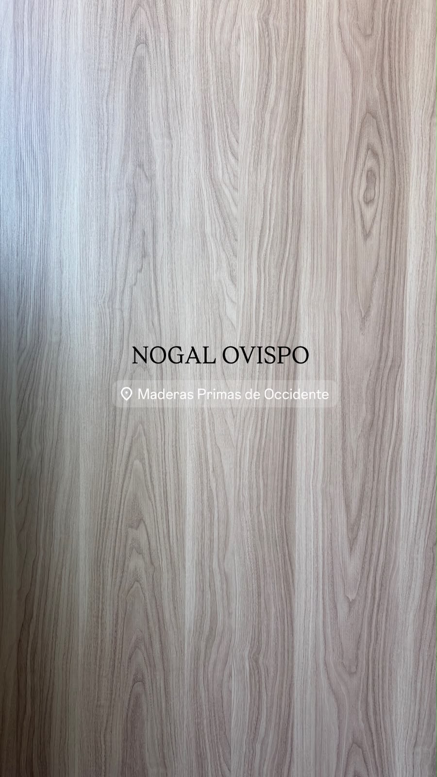 Nogal Ovispo