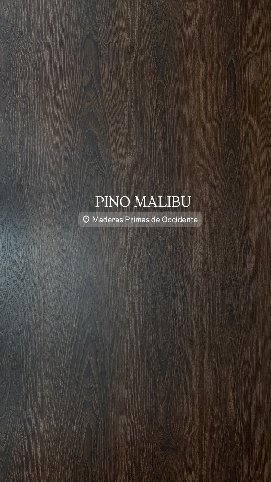 Pino Malibu
