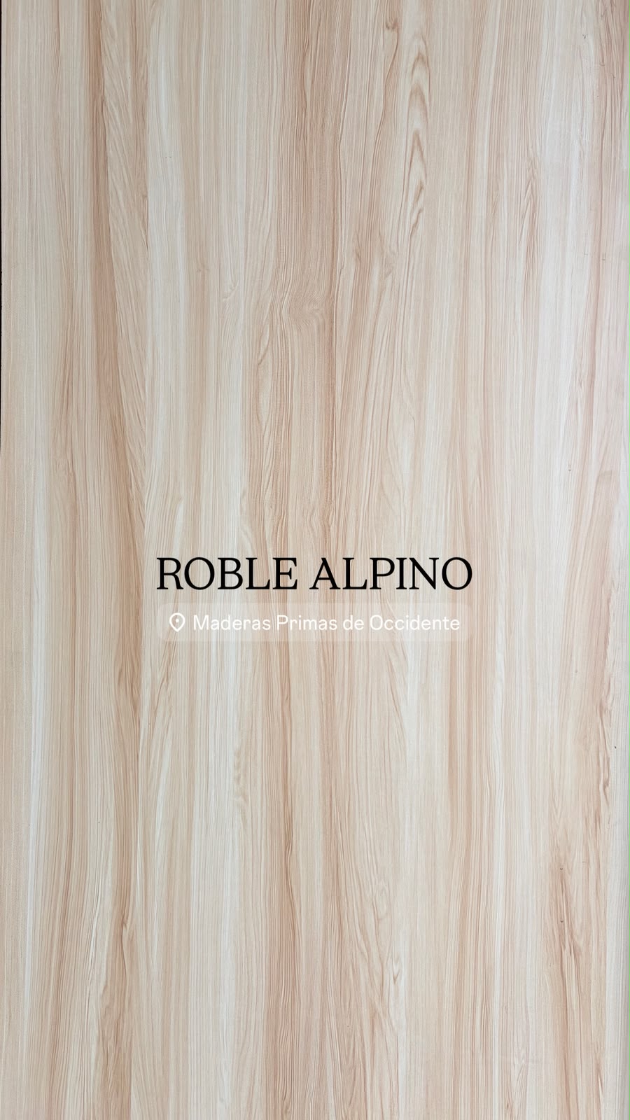 Roble Alpino