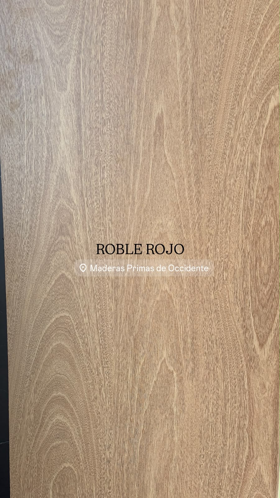 Roble Rojo