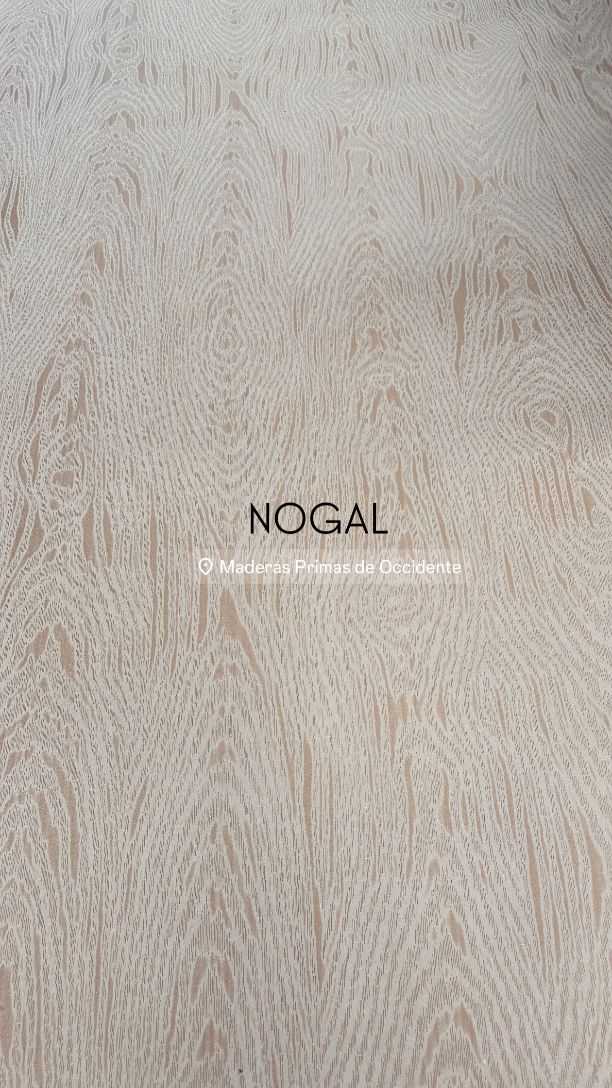 NOGAL SW