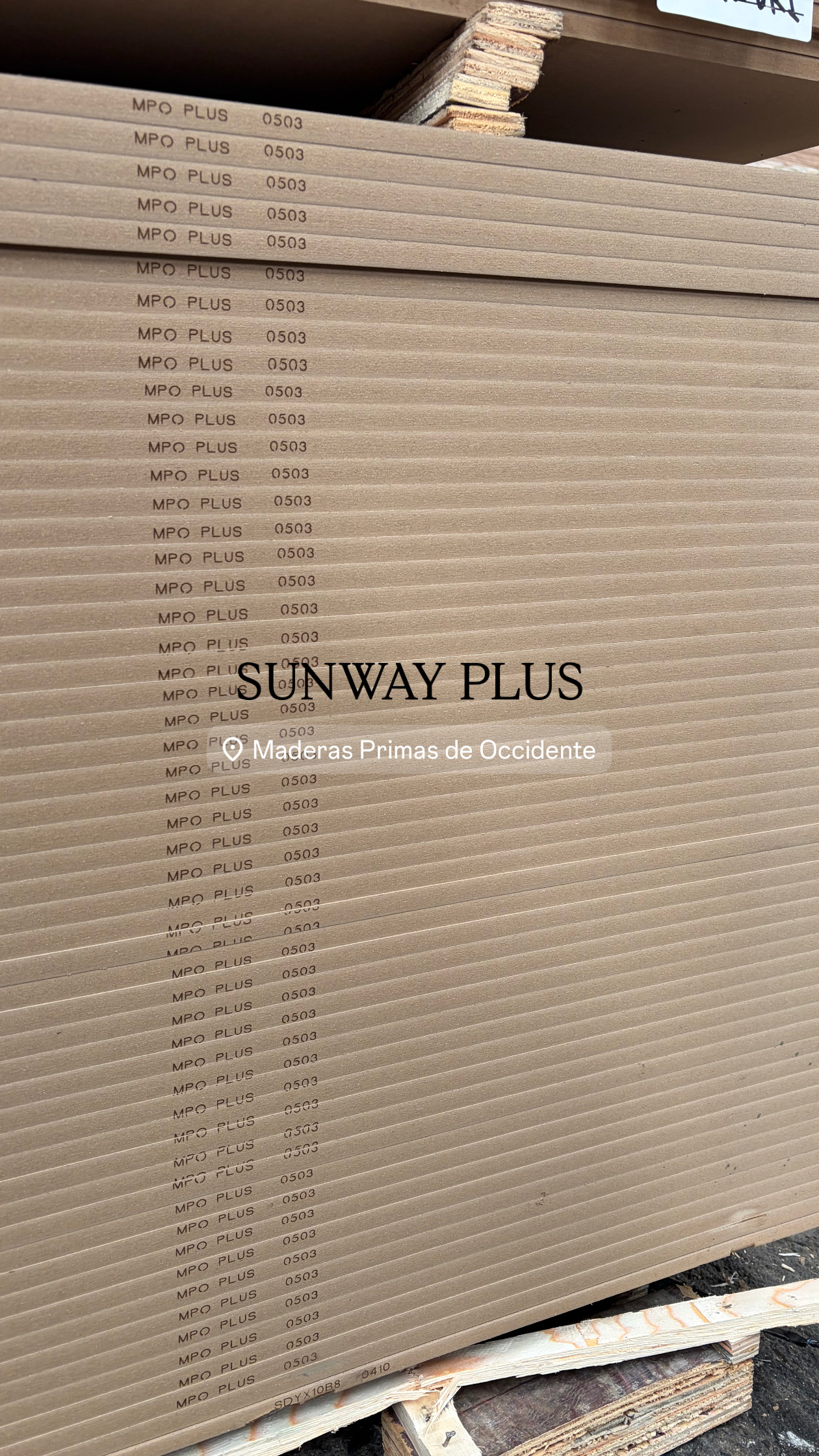 SUNWAY PLUS 12mm