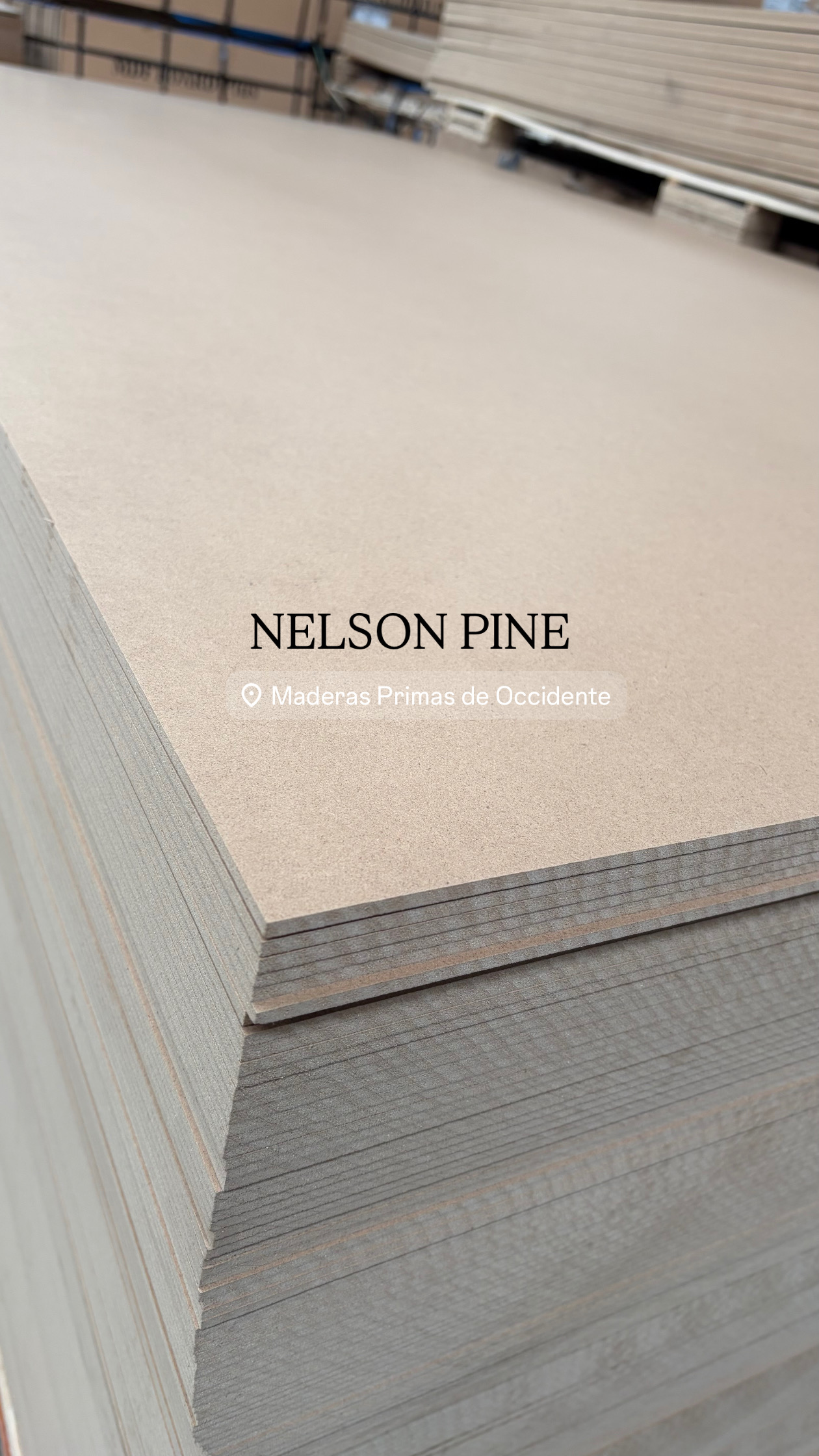Nelson Pine