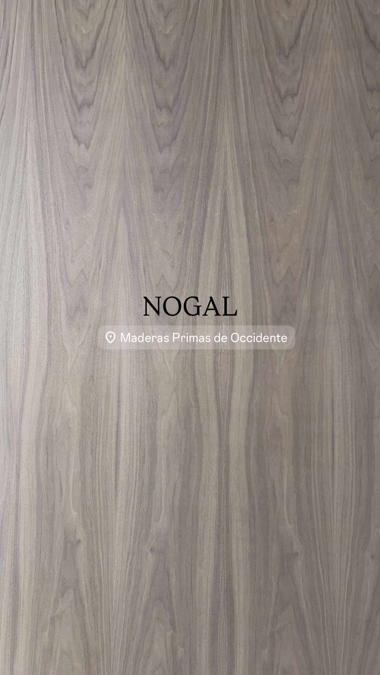 Nogal