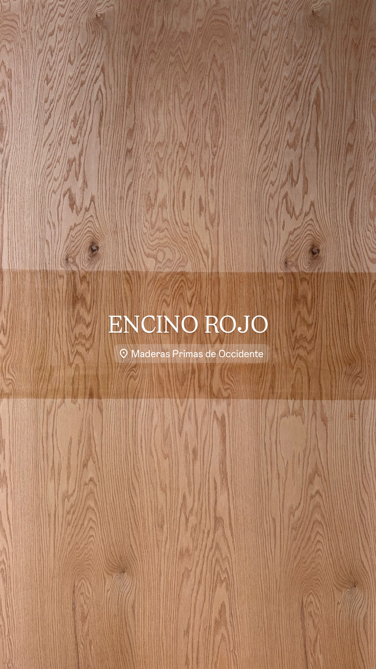 Encino Rojo