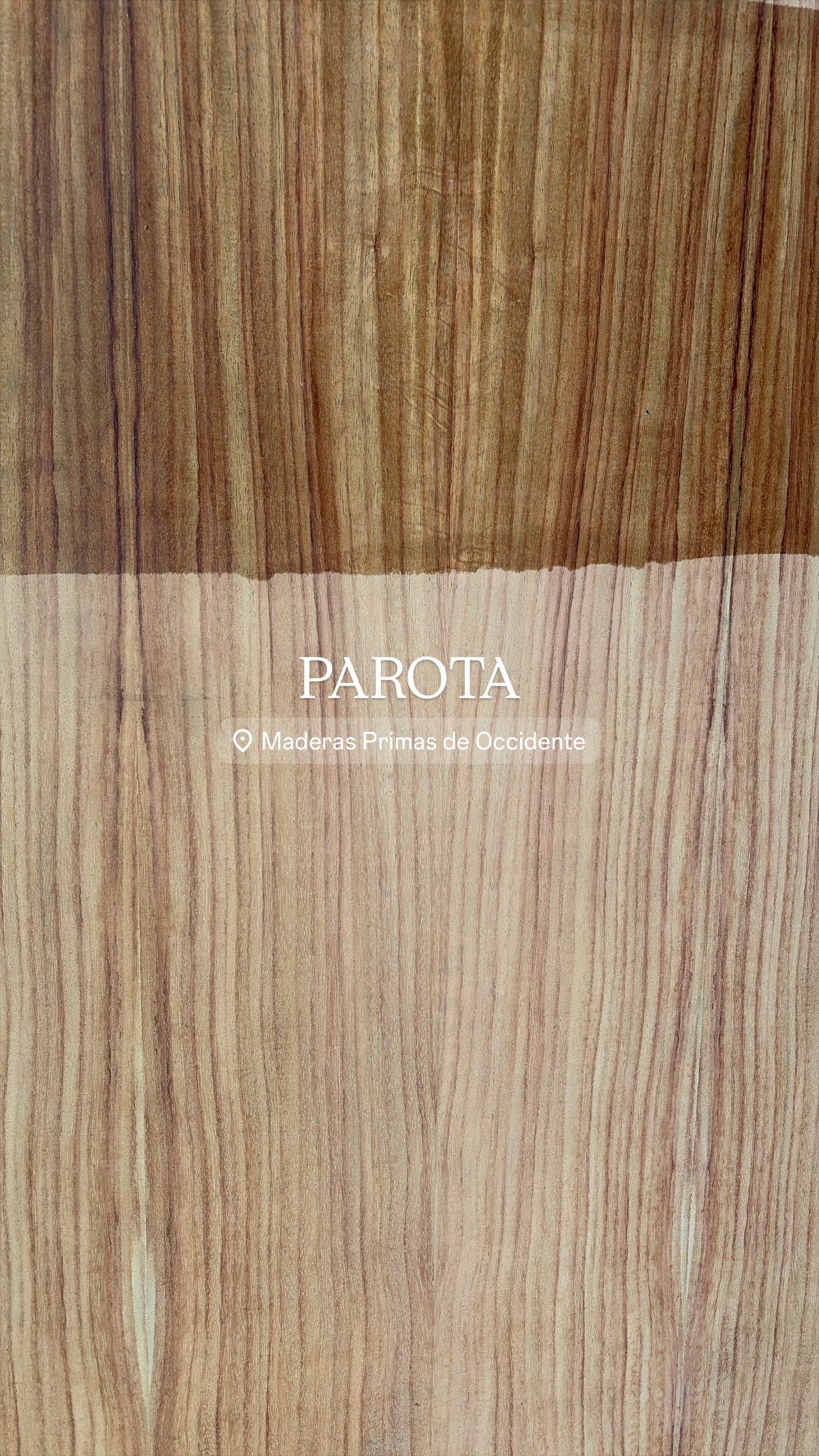 Parota