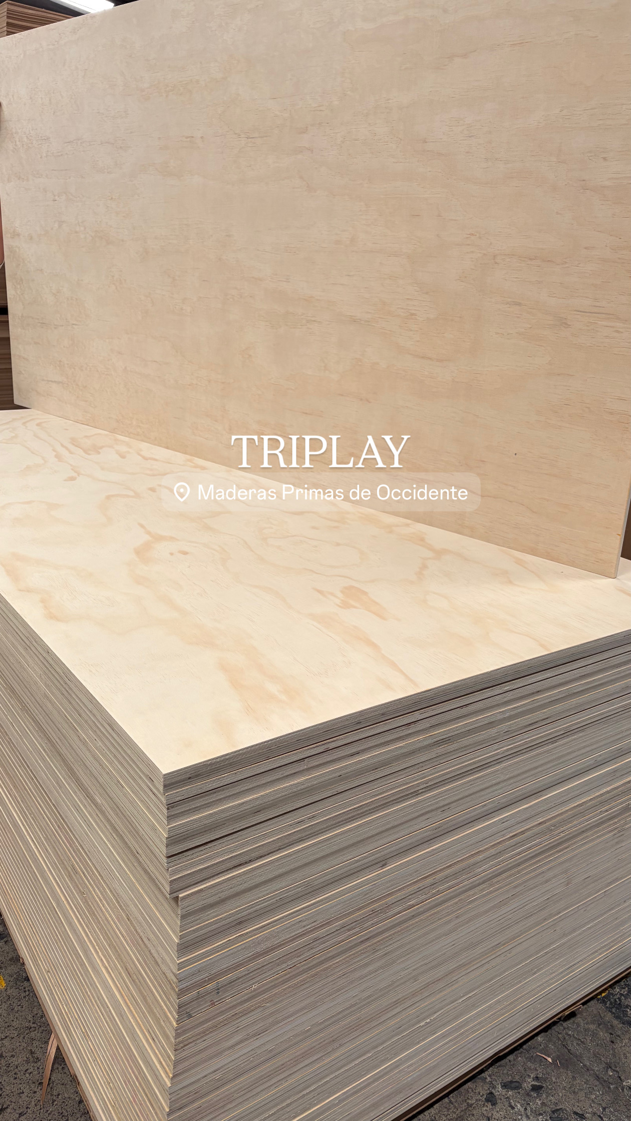 Triplay 15mm
