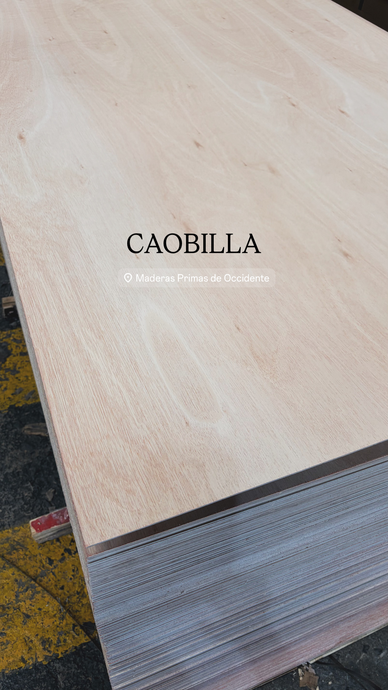 Caobilla 2.5mm