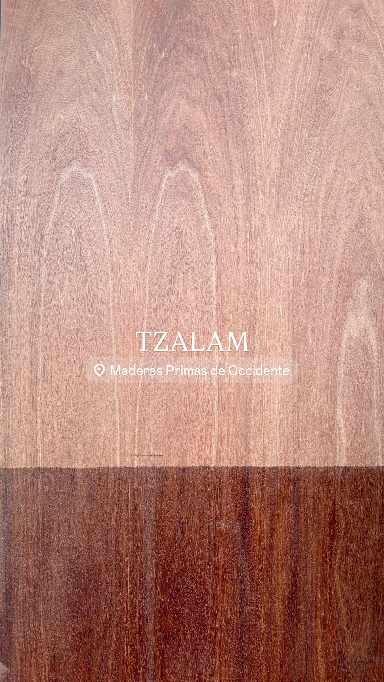 Tzalam