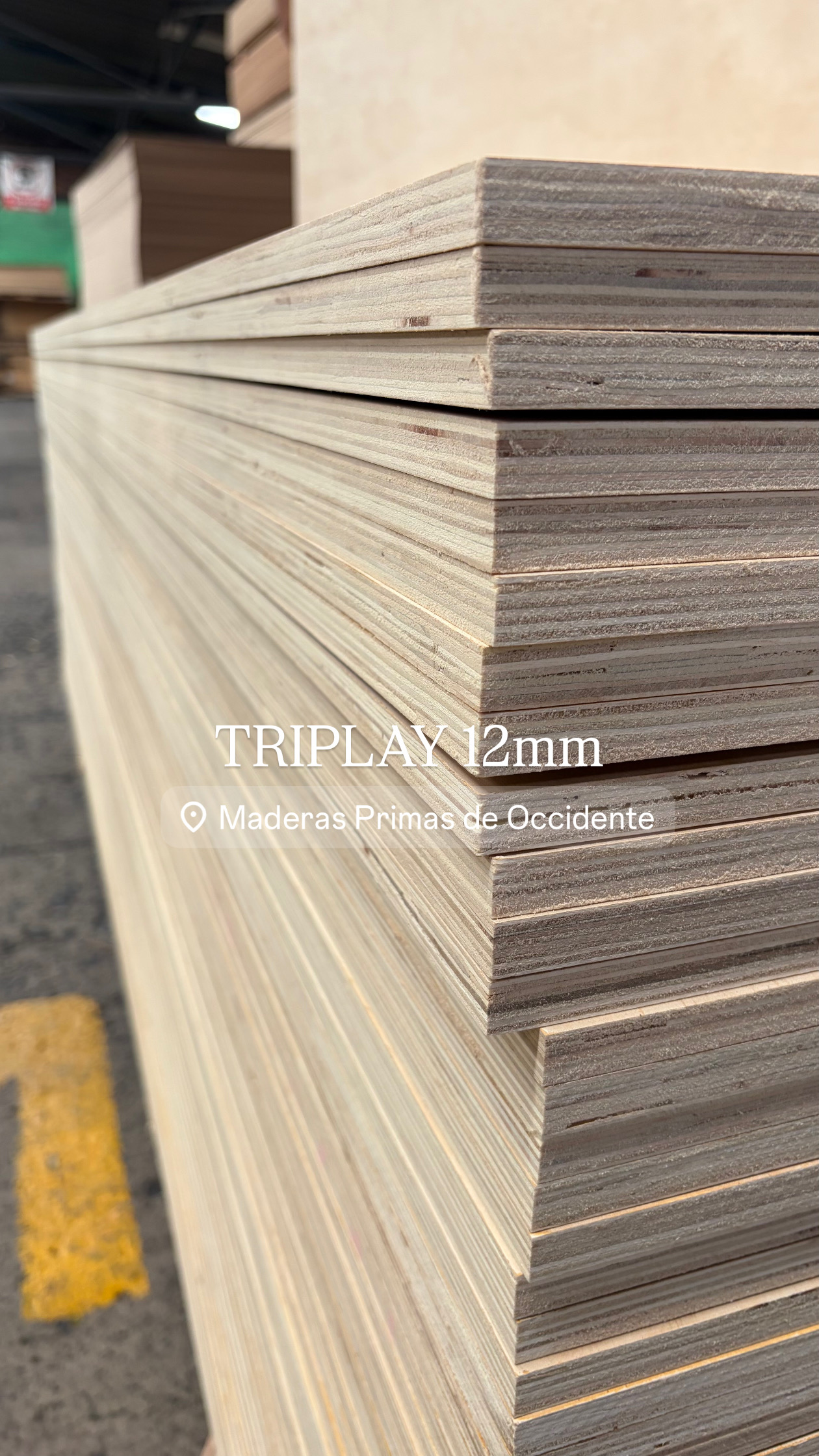 Triplay 12mm