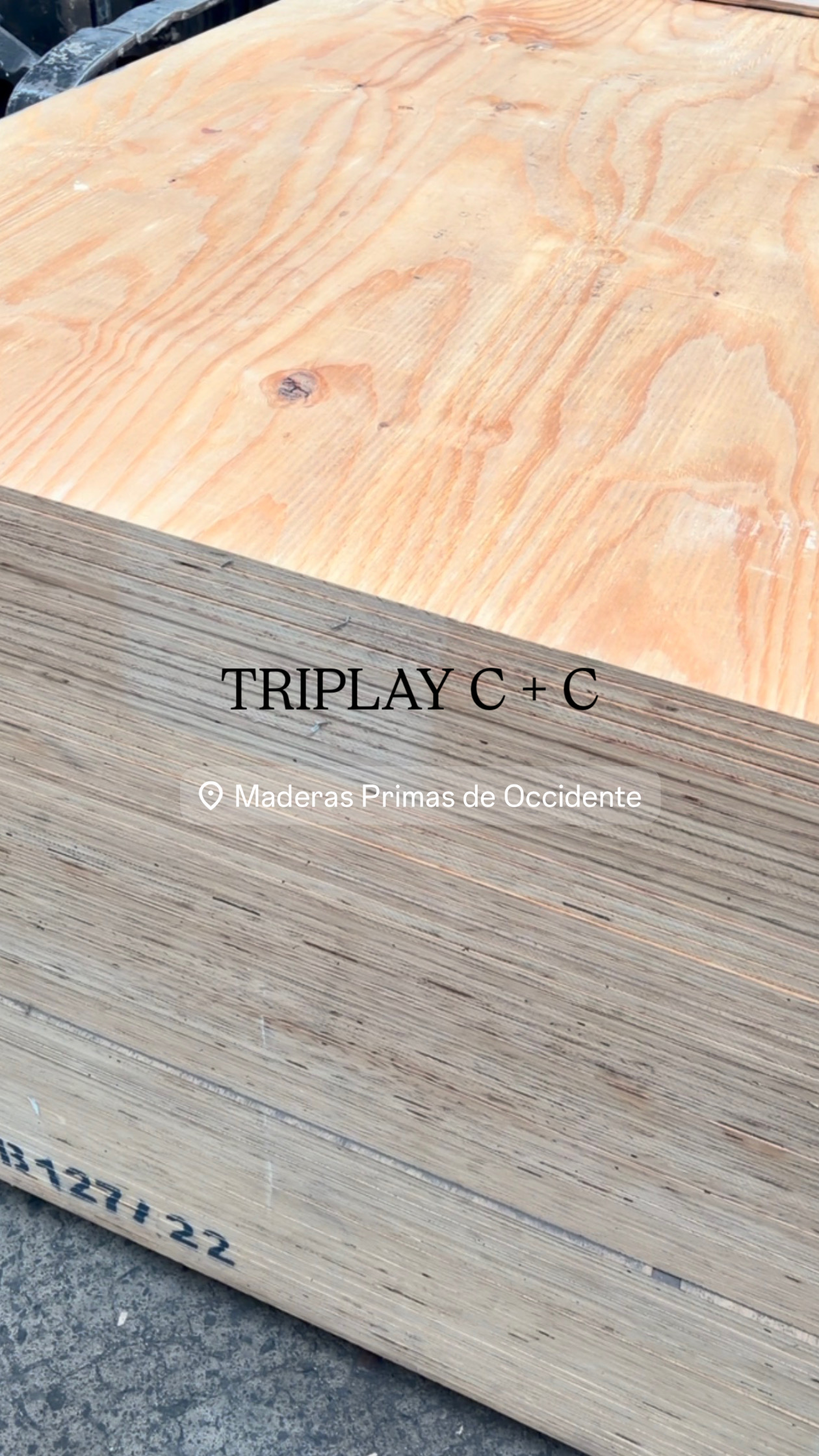 Triplay 12mm C+C