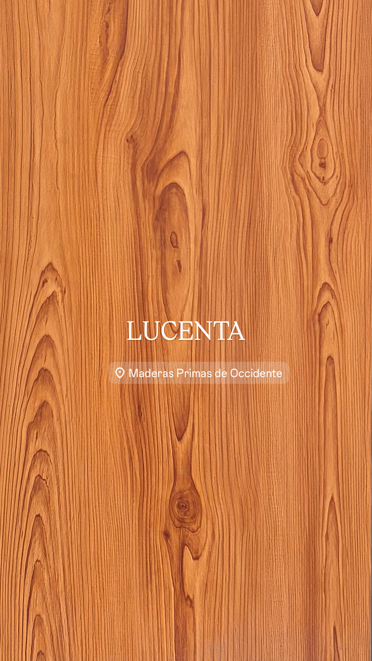 Lucenta