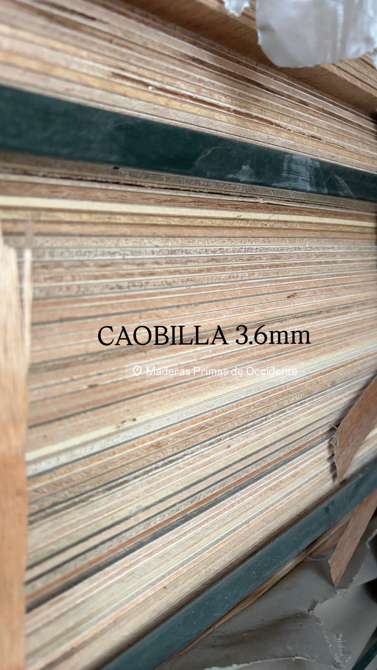 Caobilla 3.6mm