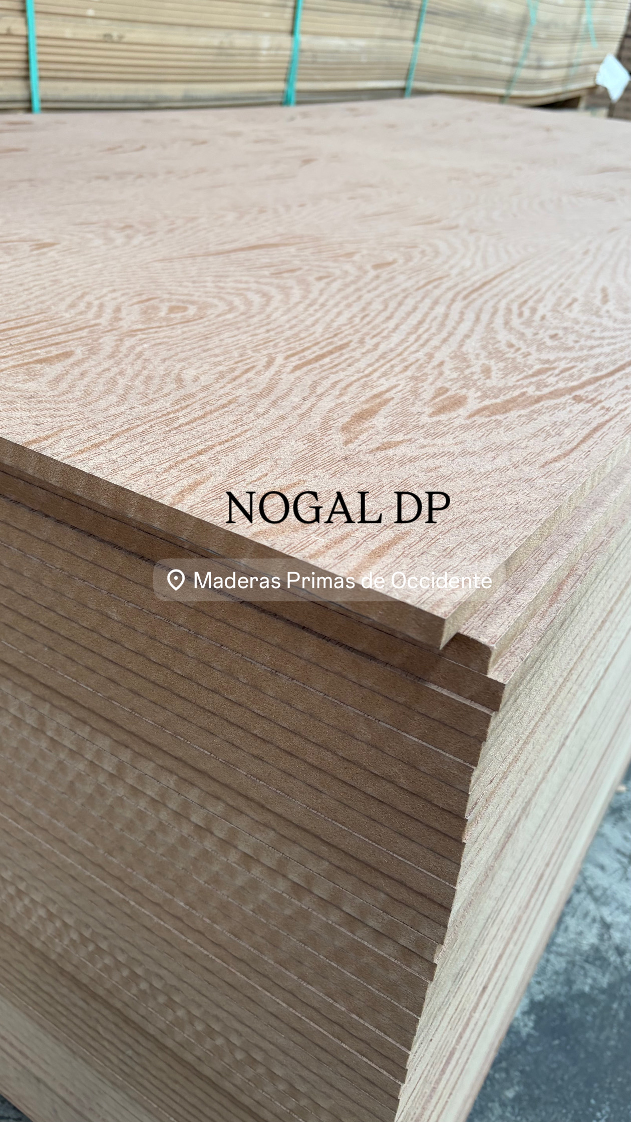 NOGAL DP